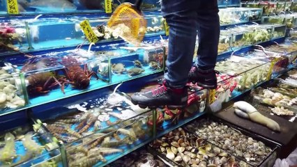 Fresh meat from bears to snakes is sold in the Chinese market from which Coronavirus spread around the world