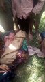 बाराबंकी: सड़क किनारे झाड़ियों में मिला नवजात शिशु