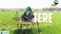 Sad Whatsapp Status Video|Tere Ishq Me Sathiya Mera Haal Kya Kar Diya| New Status 2020| Better Mates