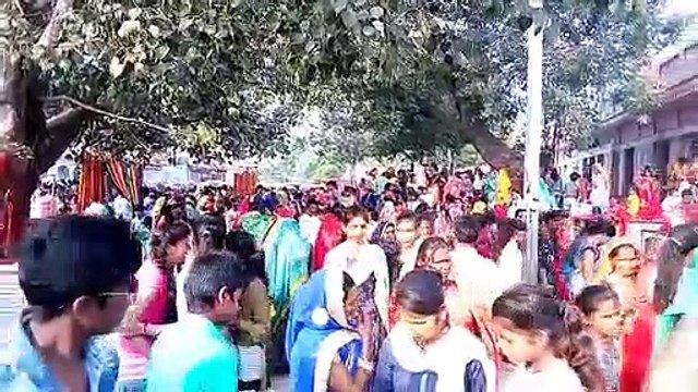 मंदिरों में रचाया गया भगवान शालिगराम, तुलसी का विवाह