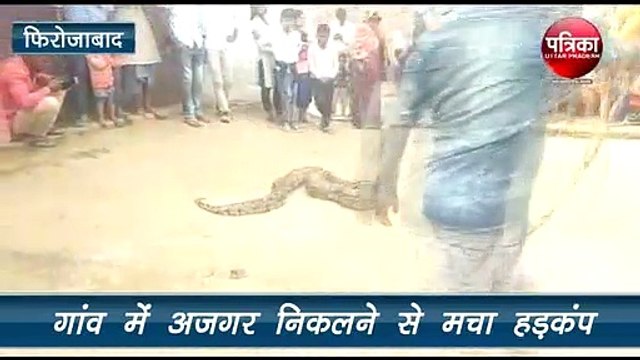 जब अजगर को रस्सी से बांधकर खेलते नजर आए बच्चे