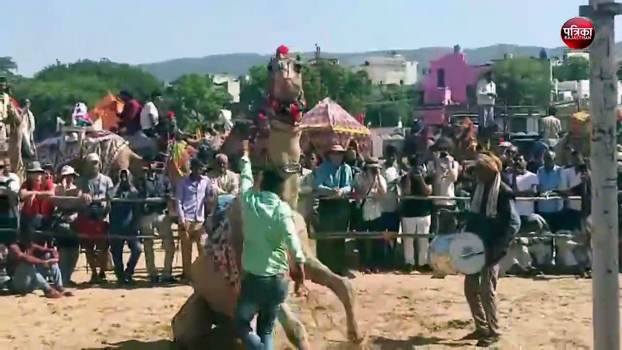 VIDEO: अंतरराष्ट्रीय पुष्कर मेले में सीकर के ऊंट ने किया कमाल, देखते रह गए दर्शक