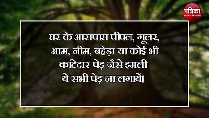घर के आसपास है नीम,गुलमोहर ,अमरुद का पेड़, तो जरुर पढ़ें ये खबर