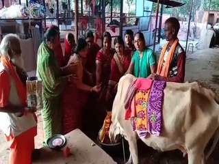 गोपाष्टमी पर्व पर गाय-बछड़े का किया पूजन