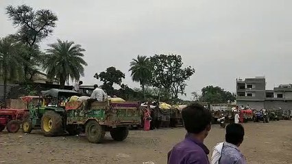 प्लांट वाले लौटा रहे इसलिए नहीं मिल रहे सोयाबीन को बेहतर भाव