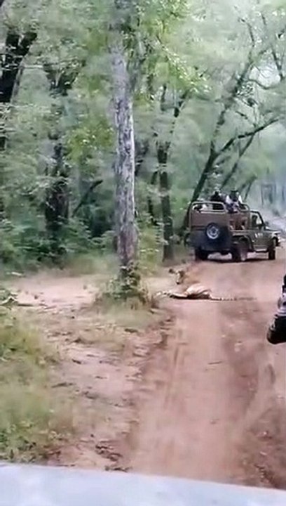 T39