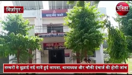 mirzapur SP ordered inquiry against police station and Daroga on cow missing