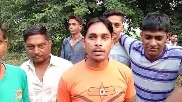 पुलिस ने गोवंश से भरा कंटेनर पकड़ा