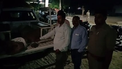 दिवाली की रात 18 लाख के कछुओं की तस्करी का खुलासा