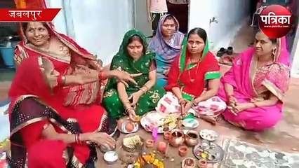 amazing video of animals, govardhan puja cow makeup videos