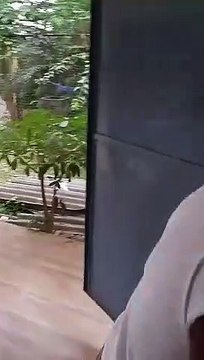 बिजली कार्यालय में शराबी ठेका कर्मचारी का उपद्रव
