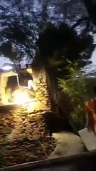 Accident: कुएं में गिरने से मासूम की मौत, 20 घंटे बाद निकाला शव