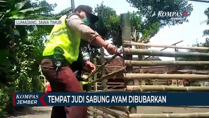 Tempat Judi Sabung Ayam Dibubarkan Polisi