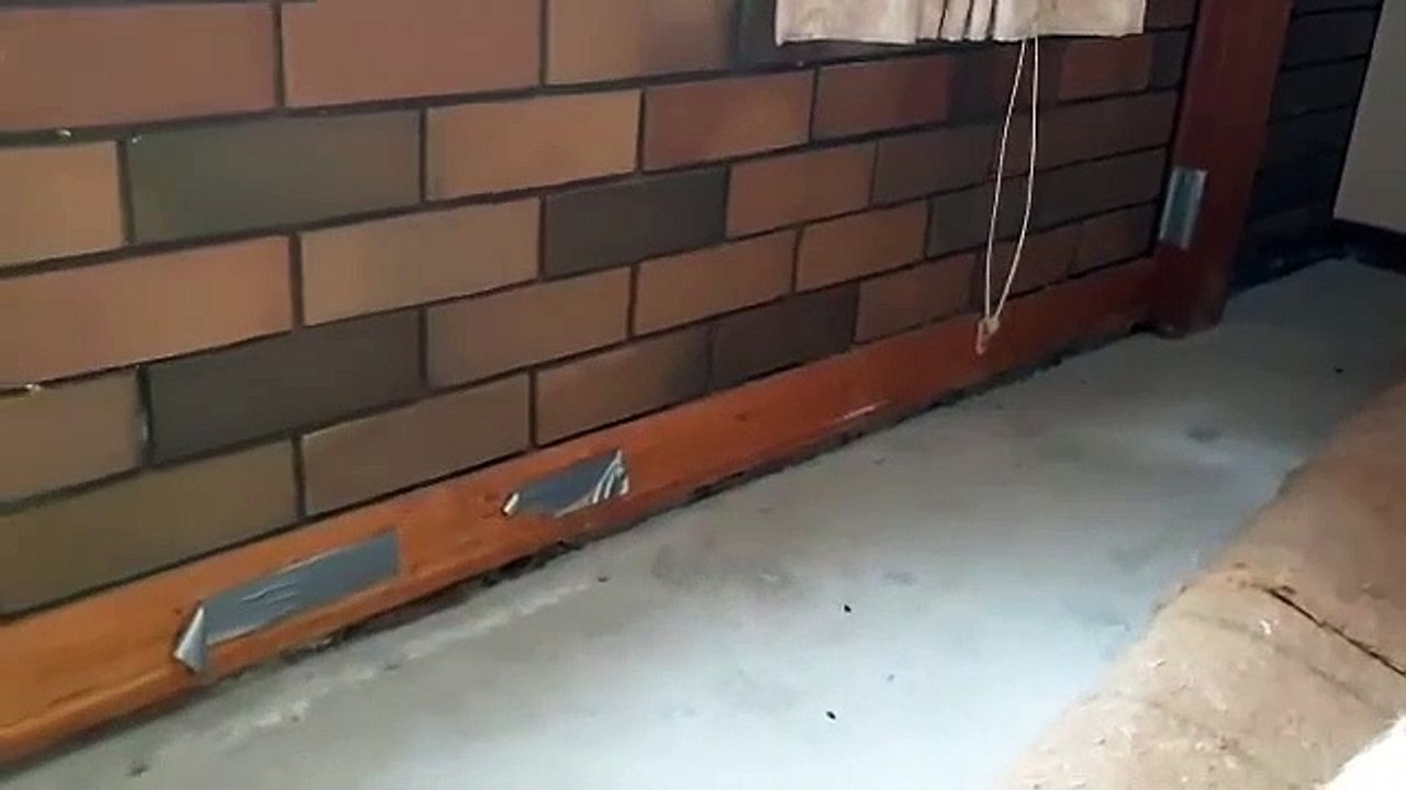 Call Protech Pest Control to Make Your Home Termite Proof!