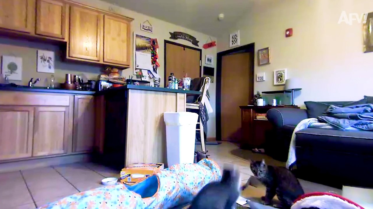 She's Gone FULL VERTICAL!   Funny Fails  AFV 2020