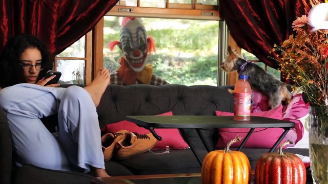 Why You Should NEVER Trust Your FRIENDS! Funny April Fools Pranks AFV 2020