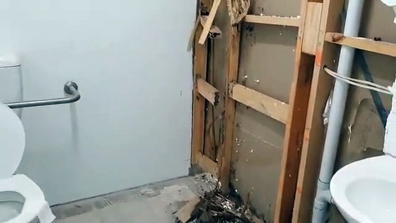 Found Sign of Termite Damage in Your Home? Call Protech Pest Control!