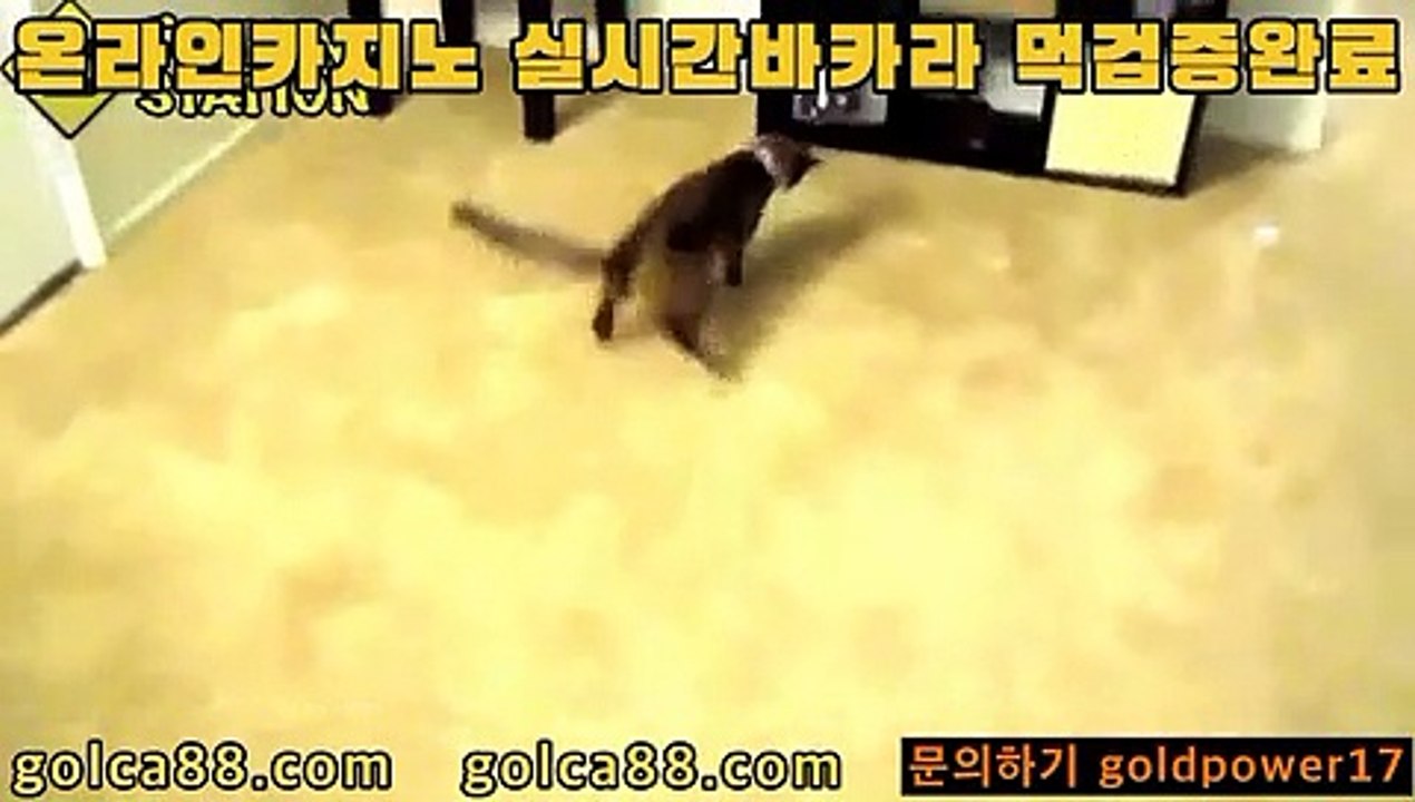 88카지노3【只 golca95。CoM 只】388카지노
