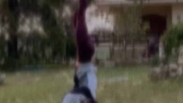 El equipo español de natación sincronizada se entrena en cuarentena por videoconferencia