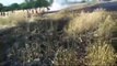फतेहपुर: खेत मे आग लगने से पांच बीघा फसल जलकर हुई राख