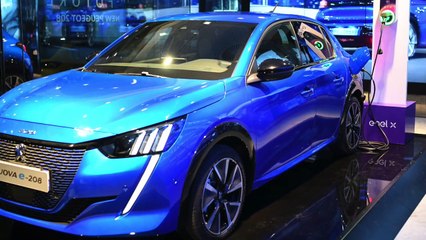 Intervista a Gaetano Thorel CEO PSA GROUP ITALY