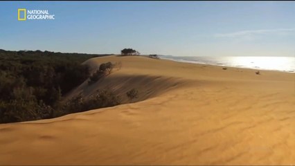 Sud Africa_ La Terra dei giganti