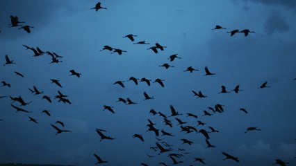 Manuel Carrasco - Prisión Esperanza