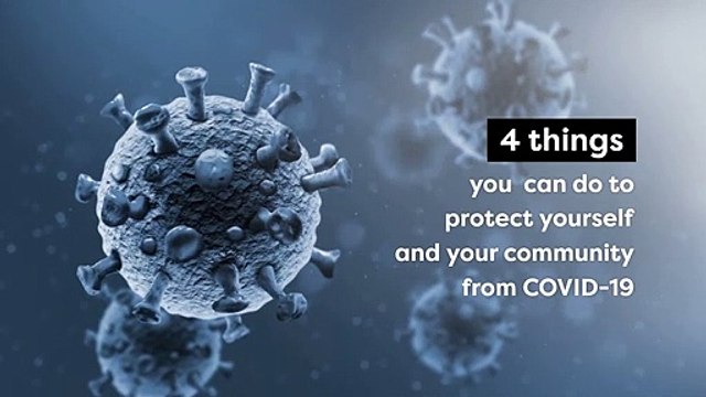 4 Steps To Prevent Covid19 _ Wellness Wednesday _ Seed Companies _ Jam Jam Group