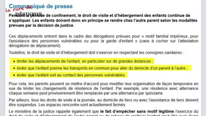 DÉSINFOX ÉPISODE 16 - Le vrai du faux de la garde alternée