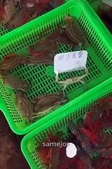 super funney (MS COMEDY)