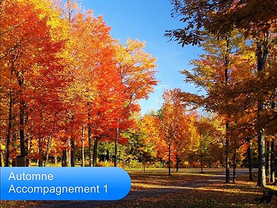 Automne - accompagnement 1