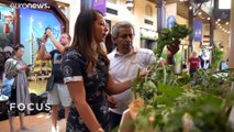 Dubai, çölün ortasında sürdürülebilir organik tarım ile yeni bir kalkınma hamlesi başlattı