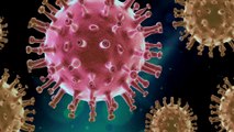 Coronavirus disease ( COVID-19) Advice for public by  WHO