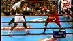 Felix Trinidad vs Hugo Pineda (29-05-1999) Full Fight