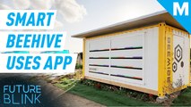This smart beehive is bringing beekeeping into the future — Future Blink
