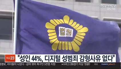 "성인 44%, 디지털 성범죄 감형사유 없다"