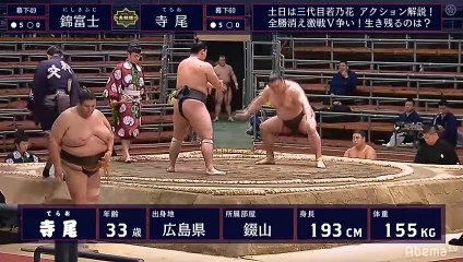 Nishikifuji vs Terao - Haru 2020, Makushita - Day 11
