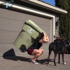 WORKOUT for Growth MUSCLE At HOME (No Equipment Needed)