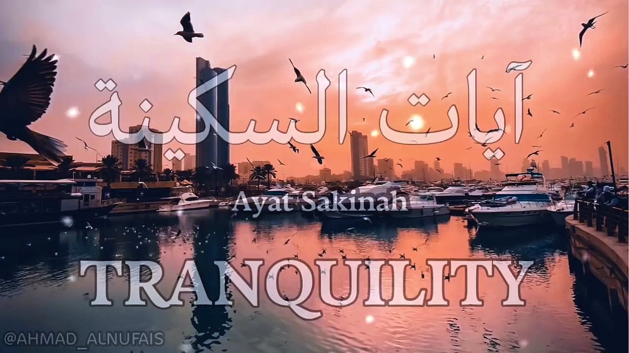 آيات السكينة لدفع القلق والهموم - AYAT OF TRANQUILITY - SAKINAH