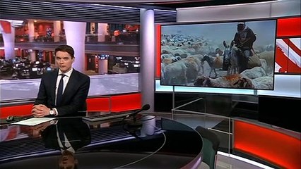 Bedouin nomads try to cope with Coronavirus