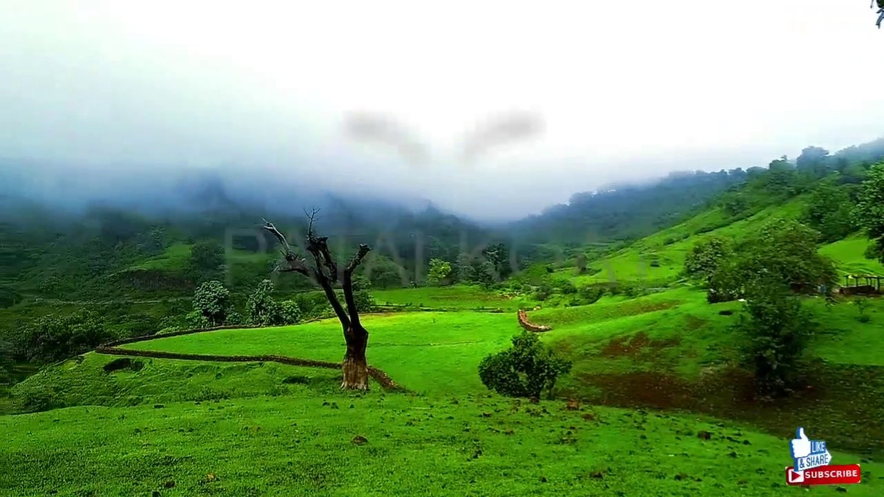 PATALKOAT_-_Hidden_Beauty_of_MP