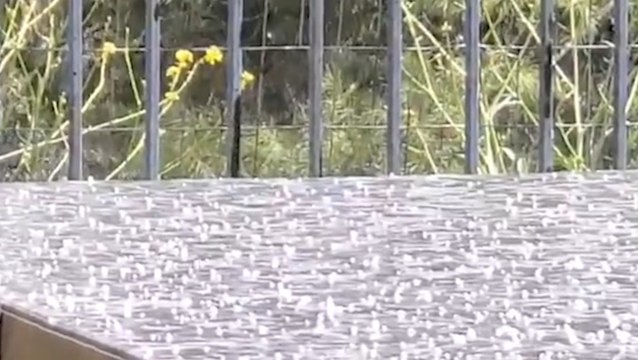 All hail Murrieta! Thou shalt be icy hereafter