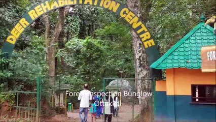 Thenmala| Thenmala Travel - Travel Guide