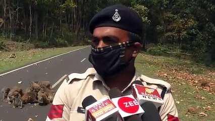 अपने हाथों से खिलाते है खाना