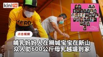 曾笳恩等人受30哺乳妈妈托付   600公斤母乳从狮城运抵新山