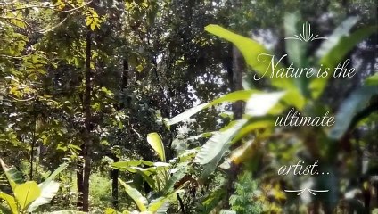 An exciting window seat journey from Kannur to Panvel...