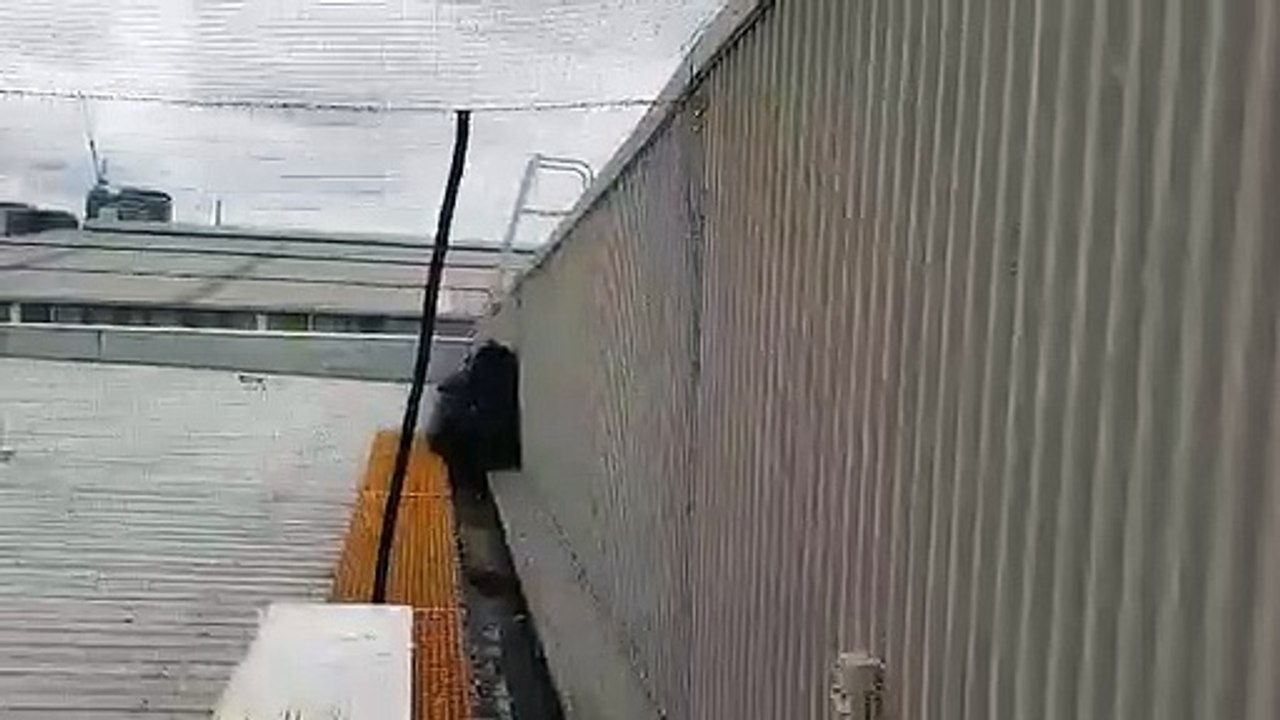 Keep Bird Away from Your Property or Building by Bird Netting Technique