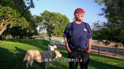 『デヴィッド・クロスビー：リメンバーマイネーム』