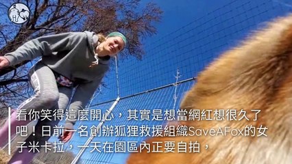 petsmao.nownews-copy1-20200409-16:07