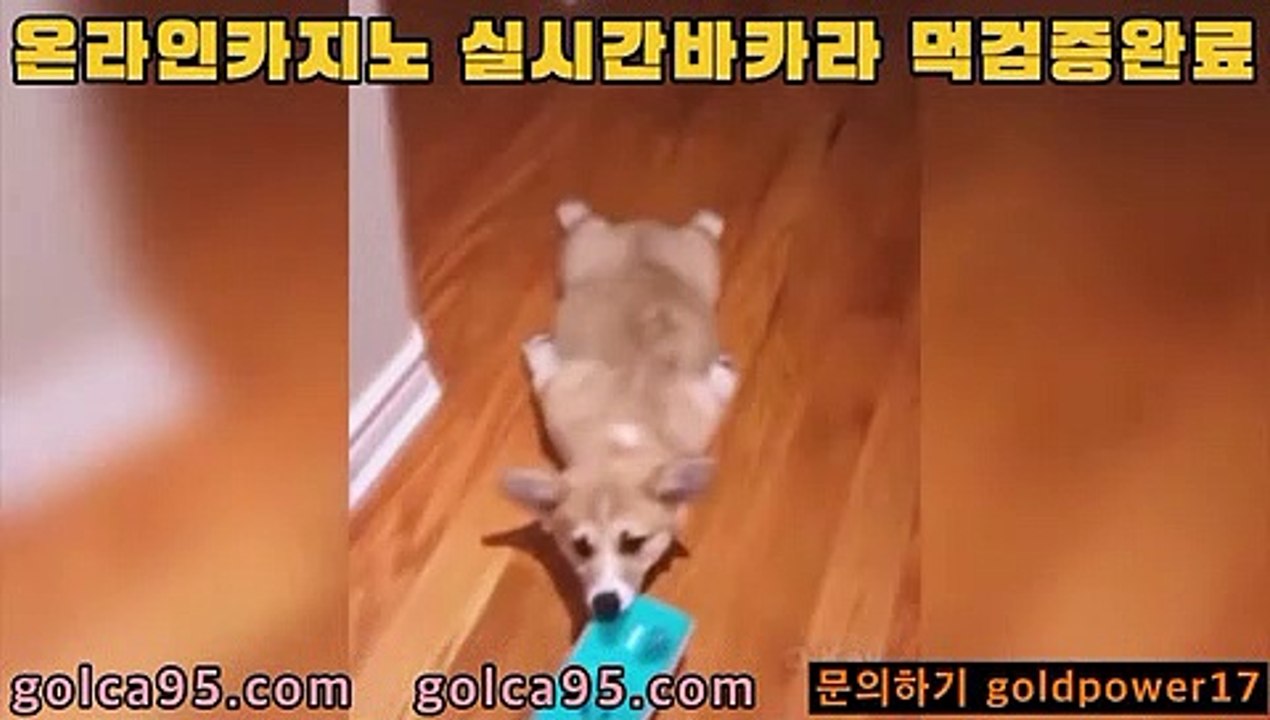 마이다스바카라@#@#PC바카라 - ( ↔【 golca88。ＣoＭ 】↔) -먹튀검색기 슈퍼카지노 마이다스 카지노사이트 모바일바카라 카지노추천 온라인카지노사이트@#@#마이다스바카라